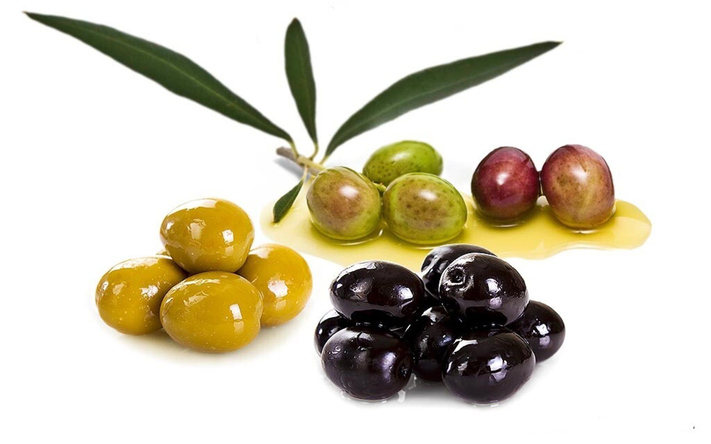 ACEITUNAS